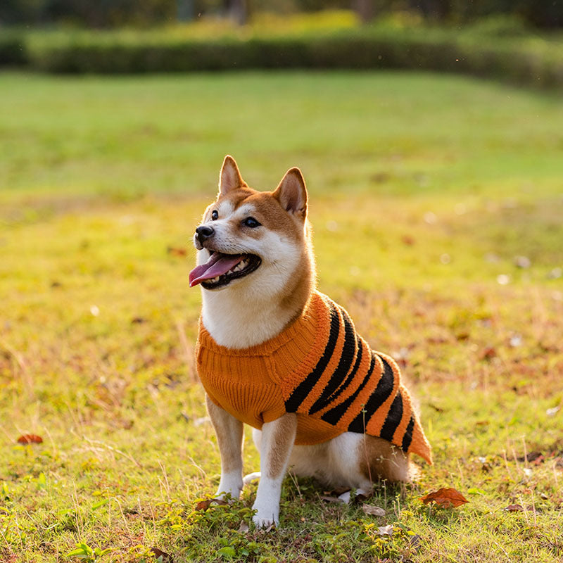 Turtle Neck Sweater Halloween Logo