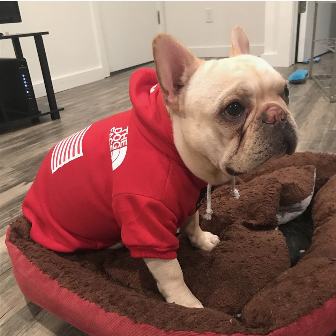 The Dog Face x Pupreme Collaboration Pullover Hoodie