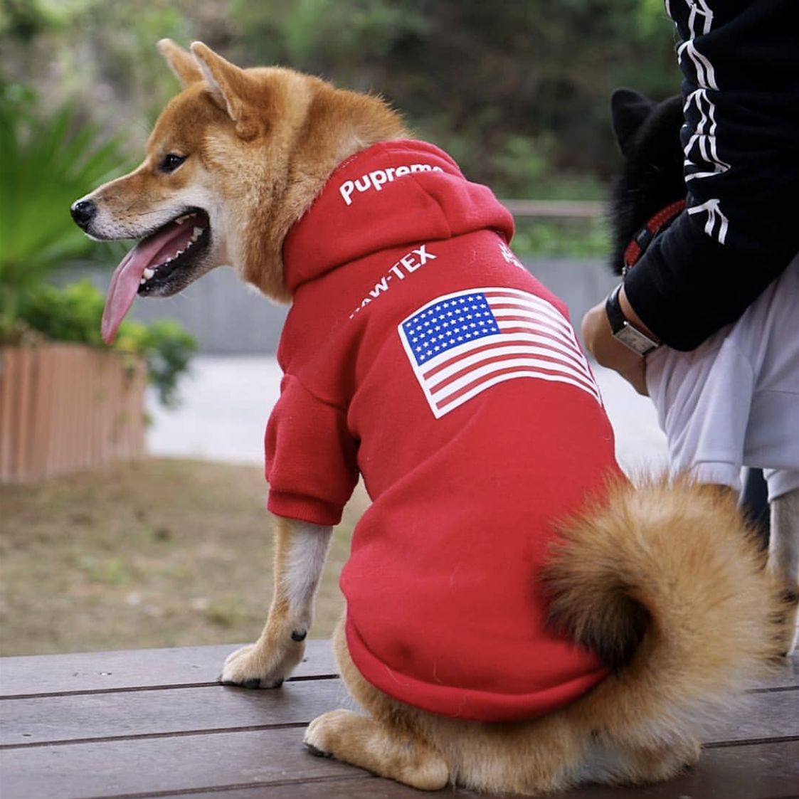The Dog Face x Pupreme Collaboration Pullover Hoodie