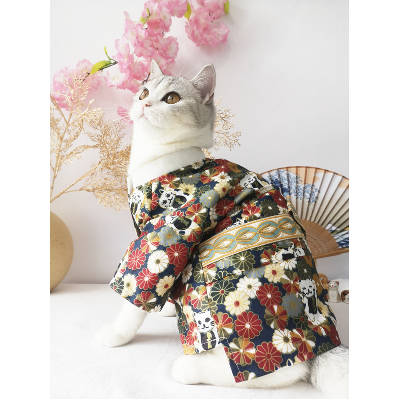 Japanese Kimono