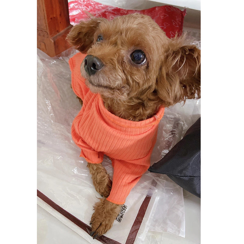 Turtleneck Long Sleeve Shirts
