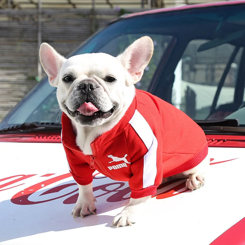 Powma Baseball Dog Jacket "POMII"
