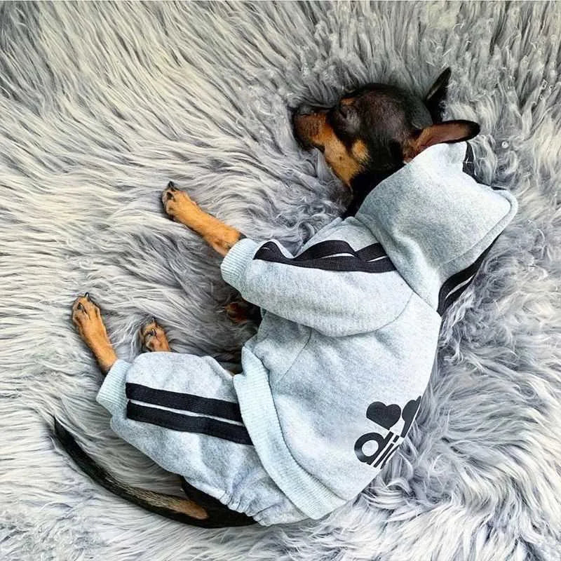 Adidog Hoodie Jumpsuit