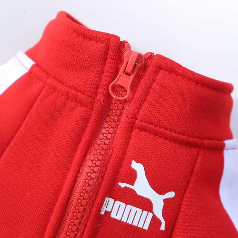 Powma Baseball Dog Jacket "POMII"