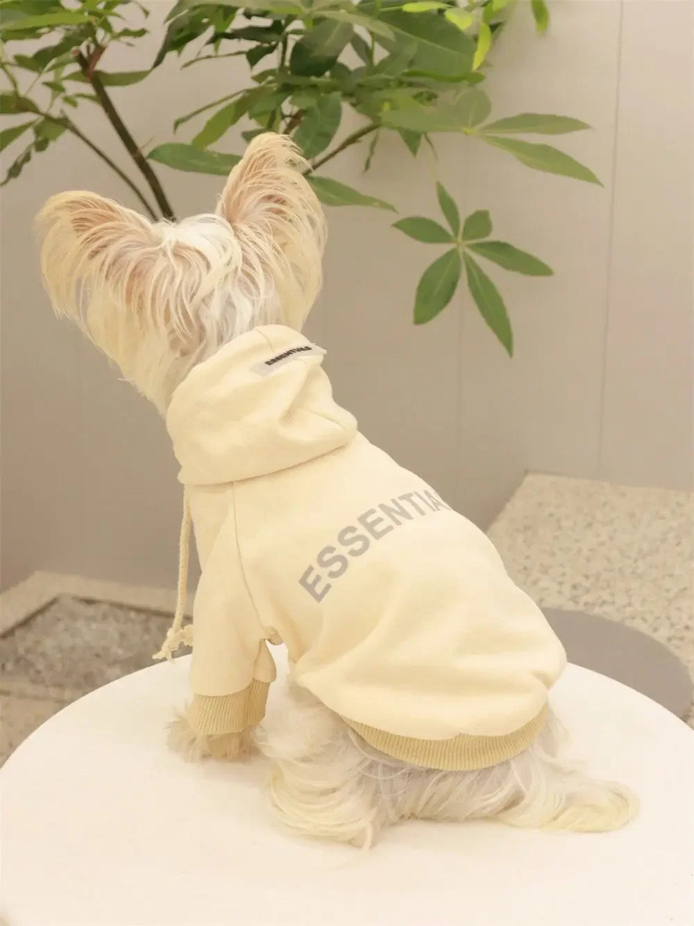 The Ultimate Cozy Hoodie ''Fearless of Dog"