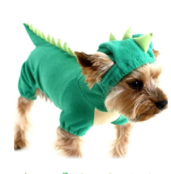 Helloween Dinosaur Costume