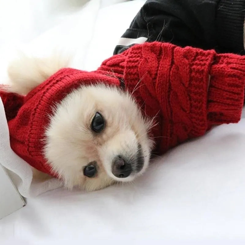 Cozy Pom Hat & Scarf Knit Set