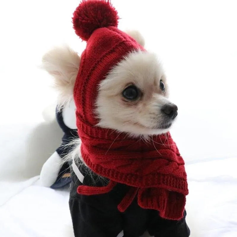 Cozy Pom Hat & Scarf Knit Set