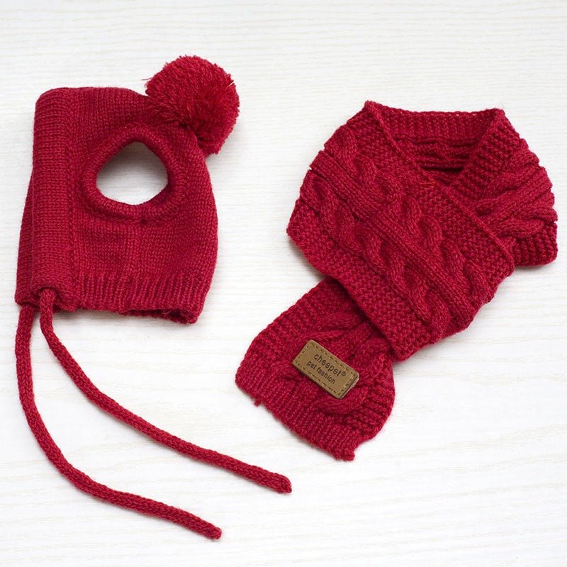 Cozy Pom Hat & Scarf Knit Set