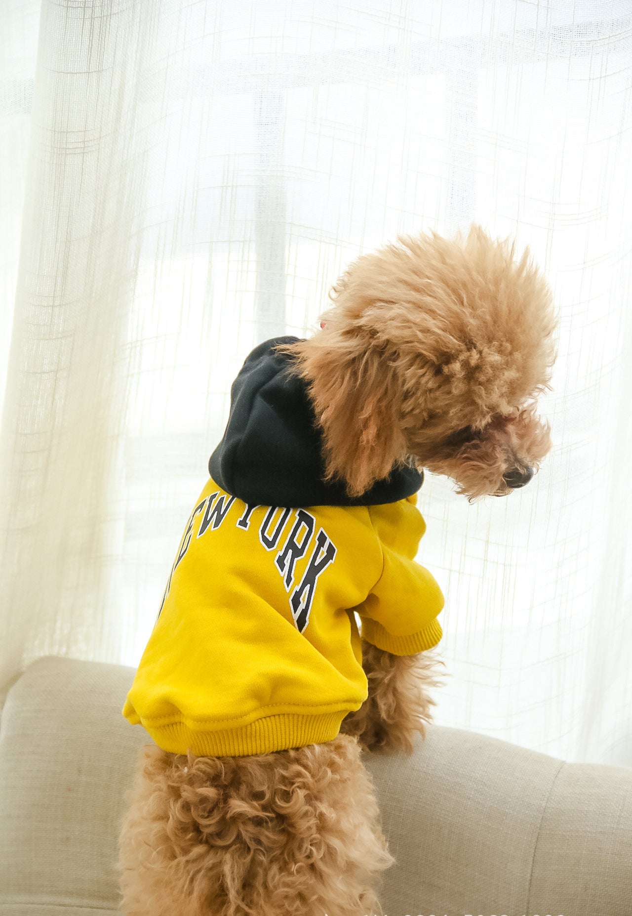 Parent & Fur Baby Matching Sweat shirt with hoodie