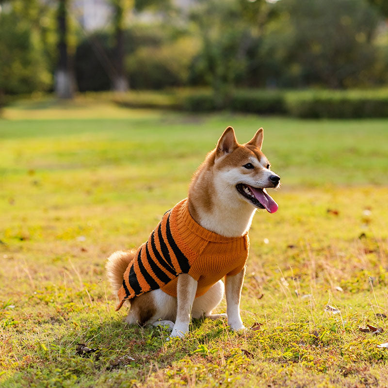 Turtle Neck Sweater Halloween Logo