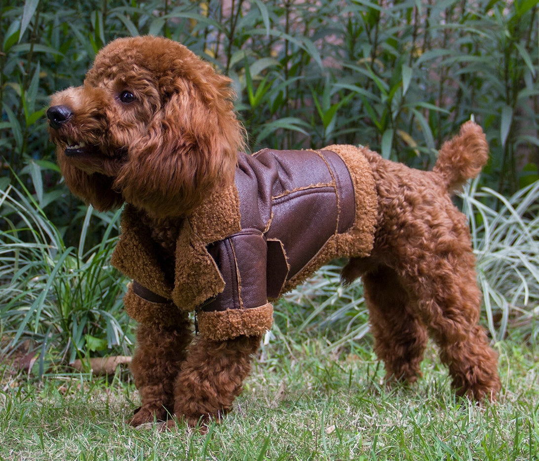 Luxe Aviator Jacket