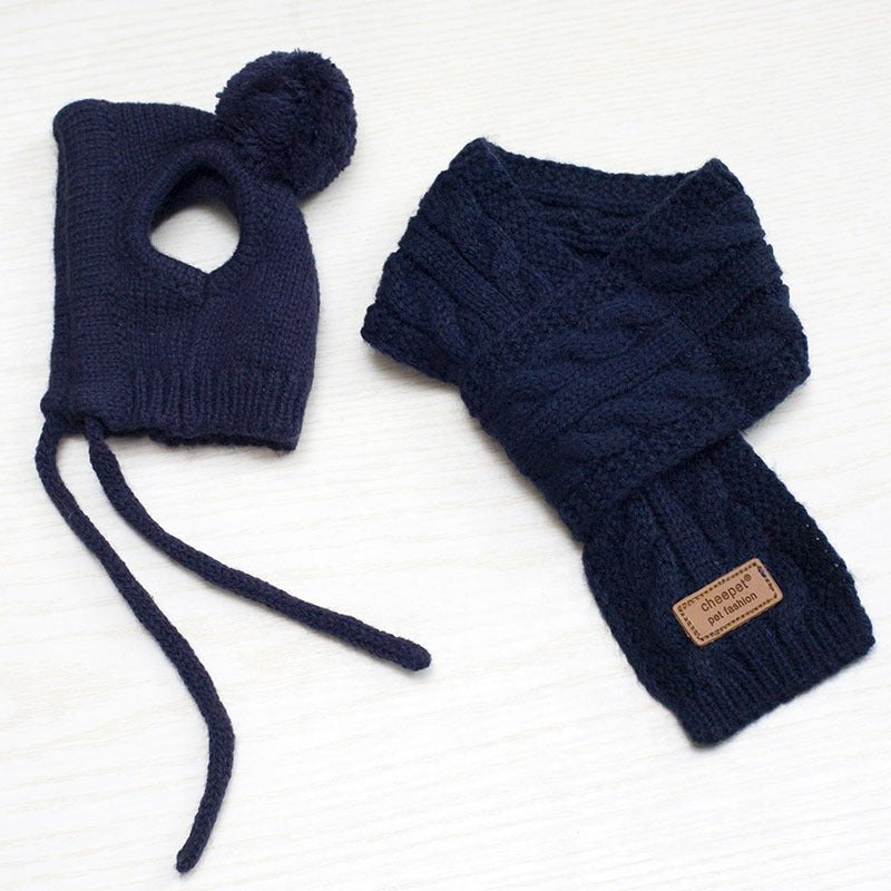 Cozy Pom Hat & Scarf Knit Set