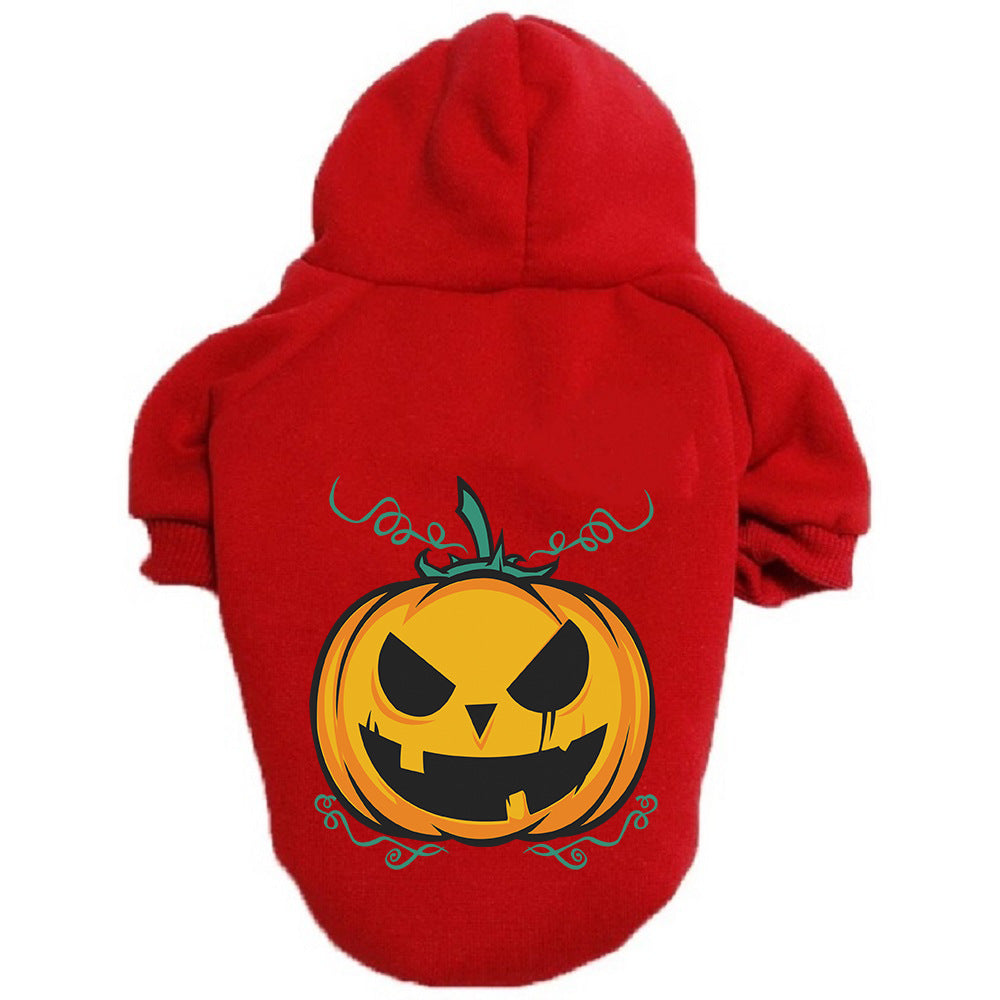 Pumpkin Hoodie