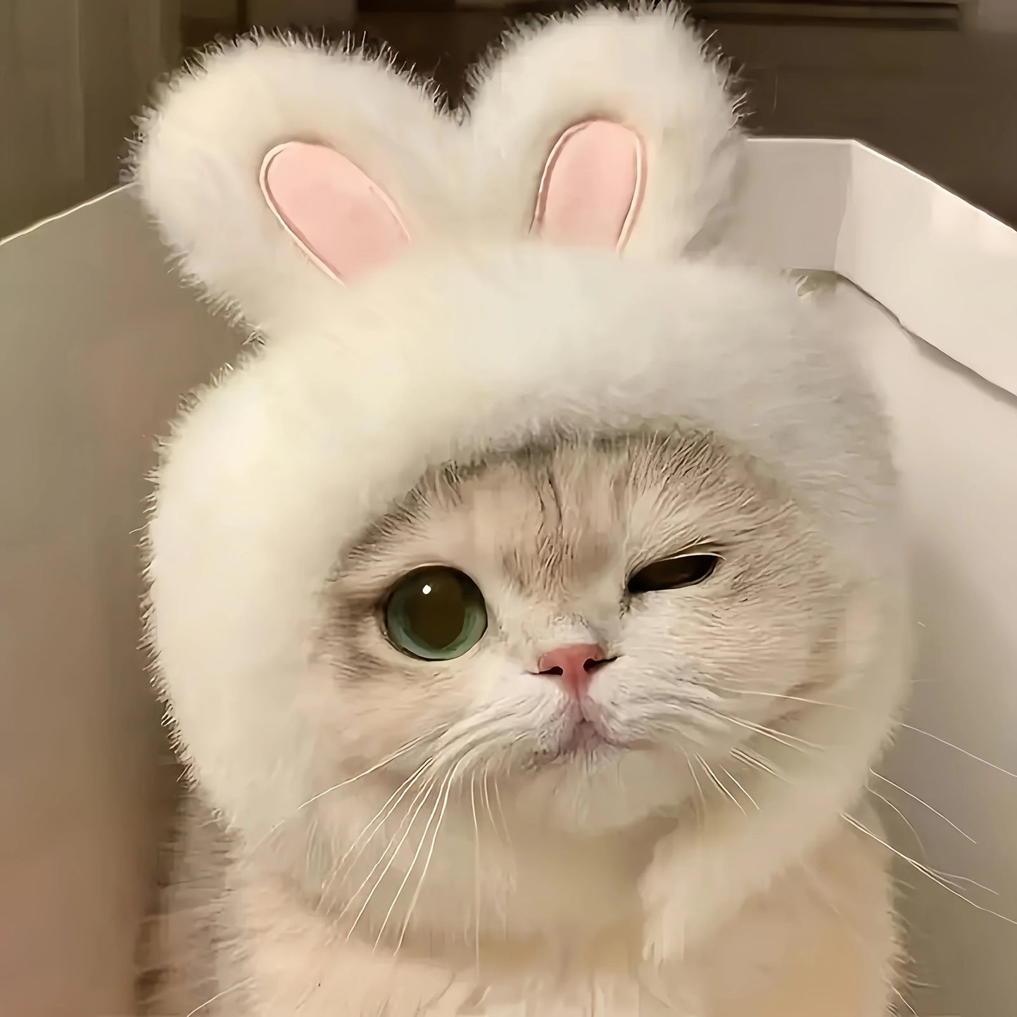 Soft Plush Rabbit Ear Pet Hat 🐇