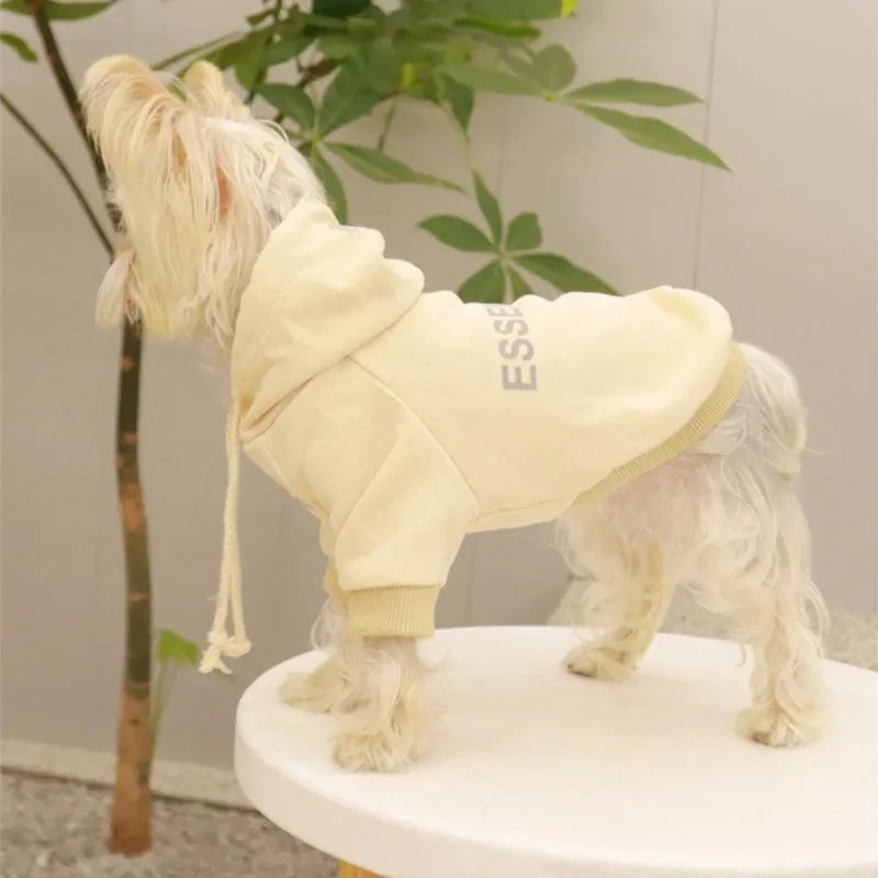 The Ultimate Cozy Hoodie ''Fearless of Dog"