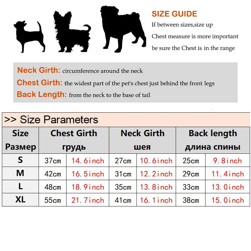 Christmas Holiday Dresses