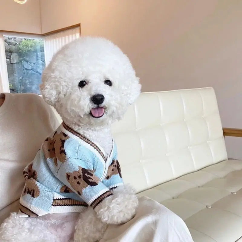 Luxury Teddy Bear Knit Cardigan