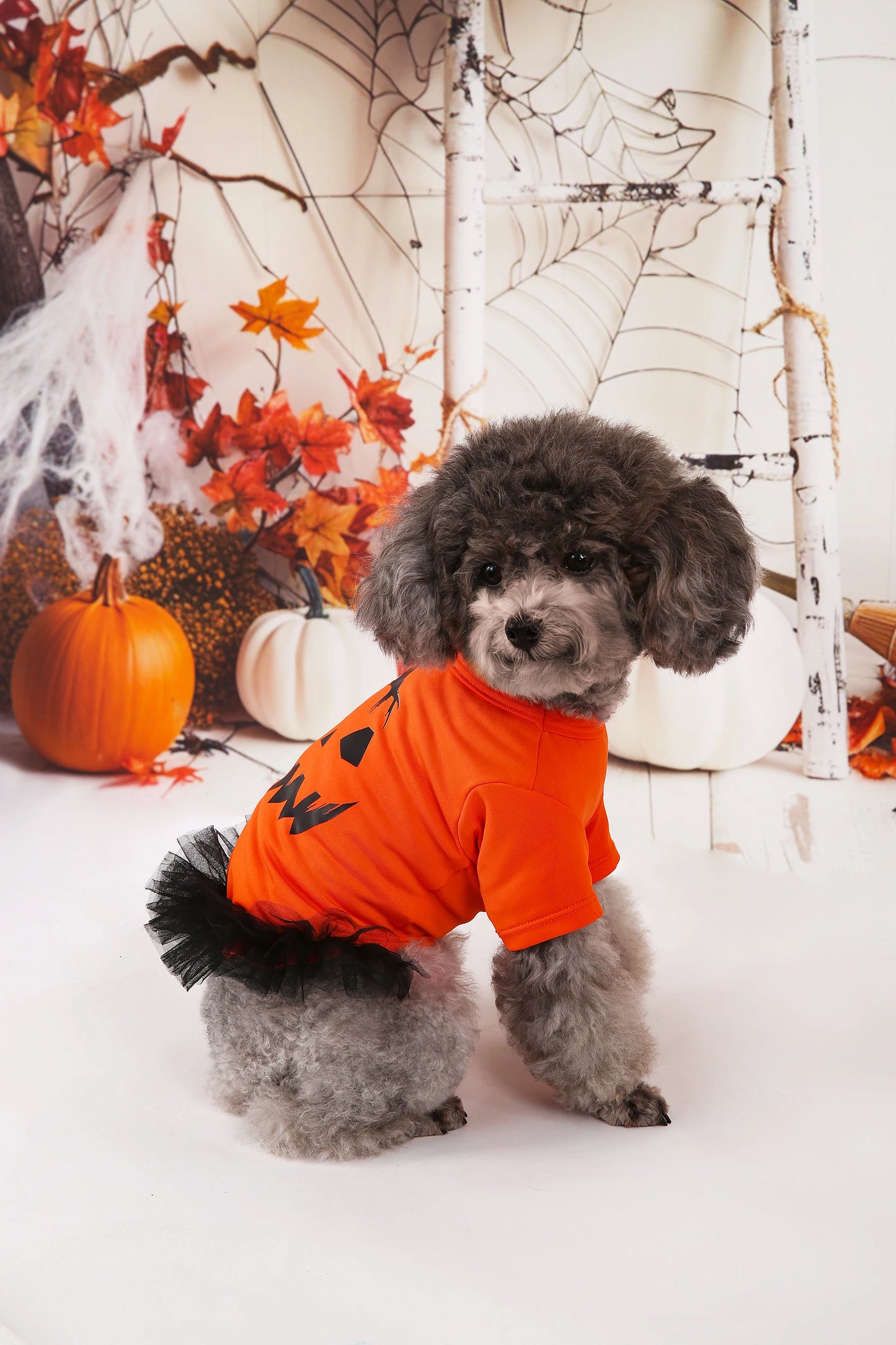 Pumpkin Printed Orange Tutu Dress