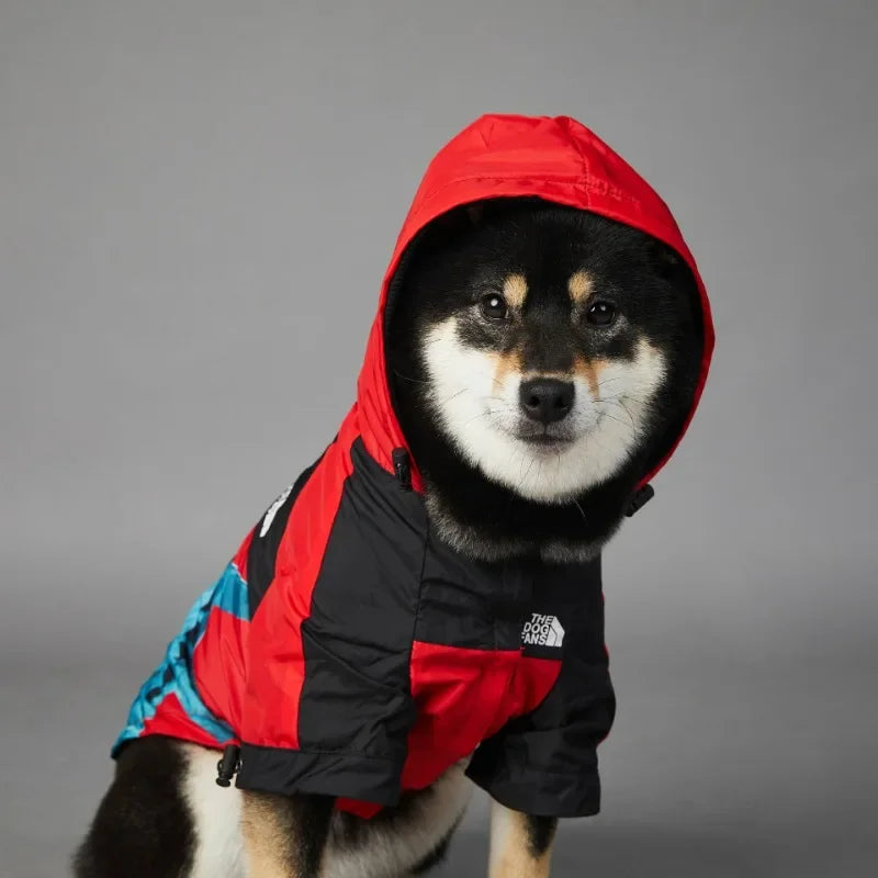 Freedom & Justice  T.D.F x Pupawme Raincoat