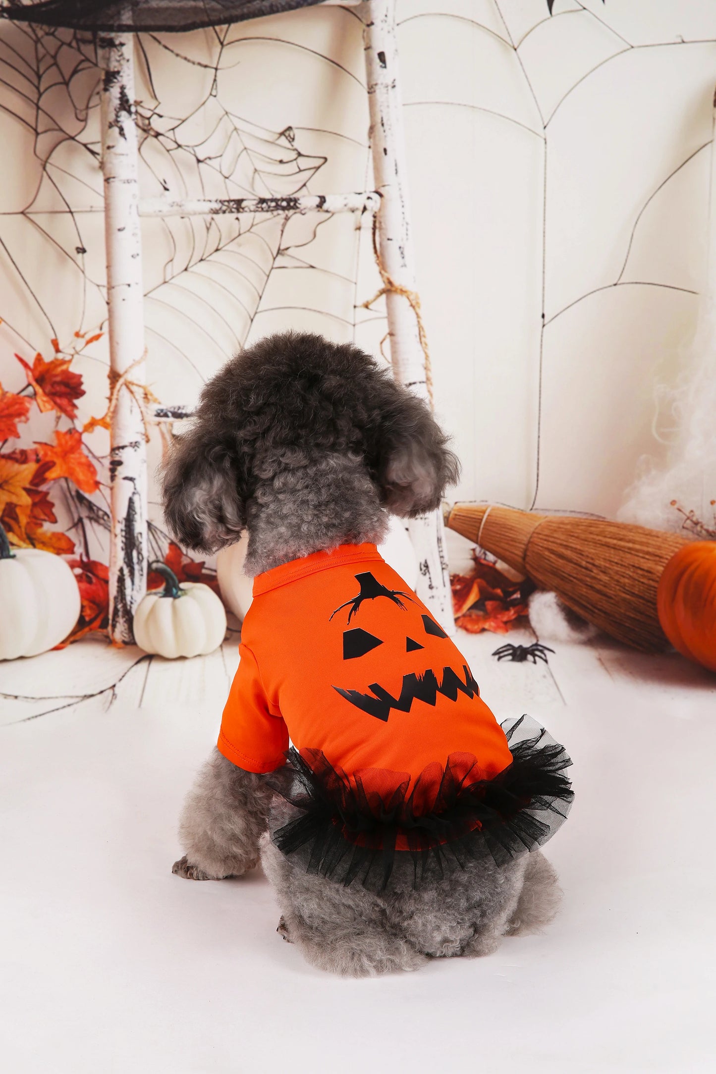 Pumpkin Printed Orange Tutu Dress