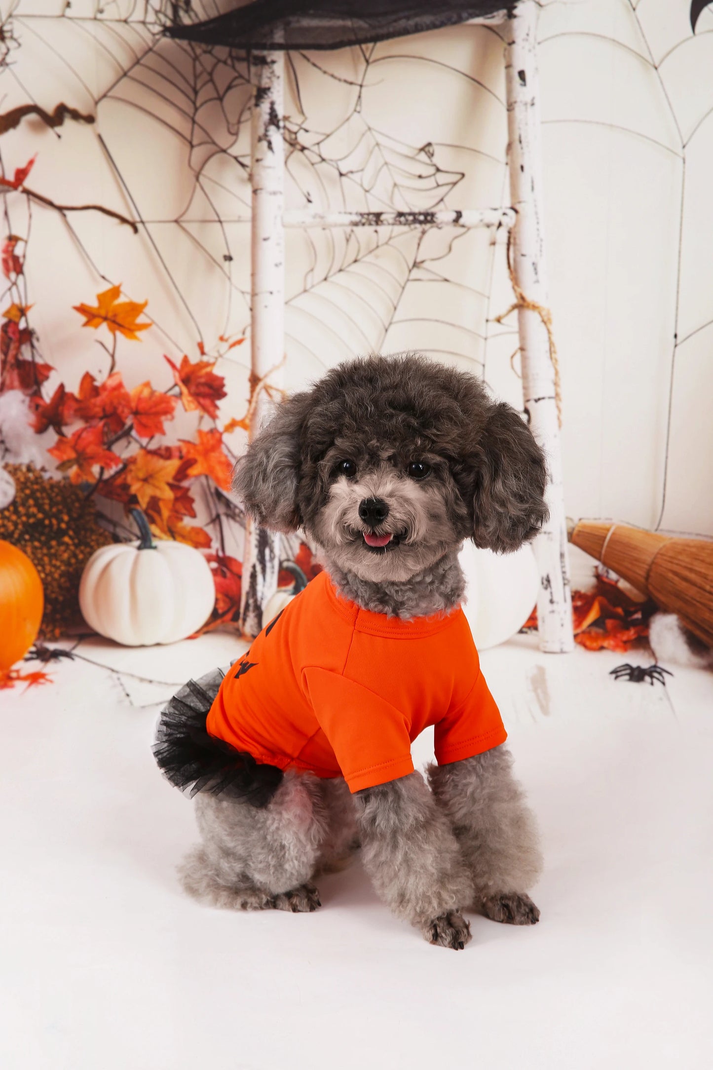 Pumpkin Printed Orange Tutu Dress