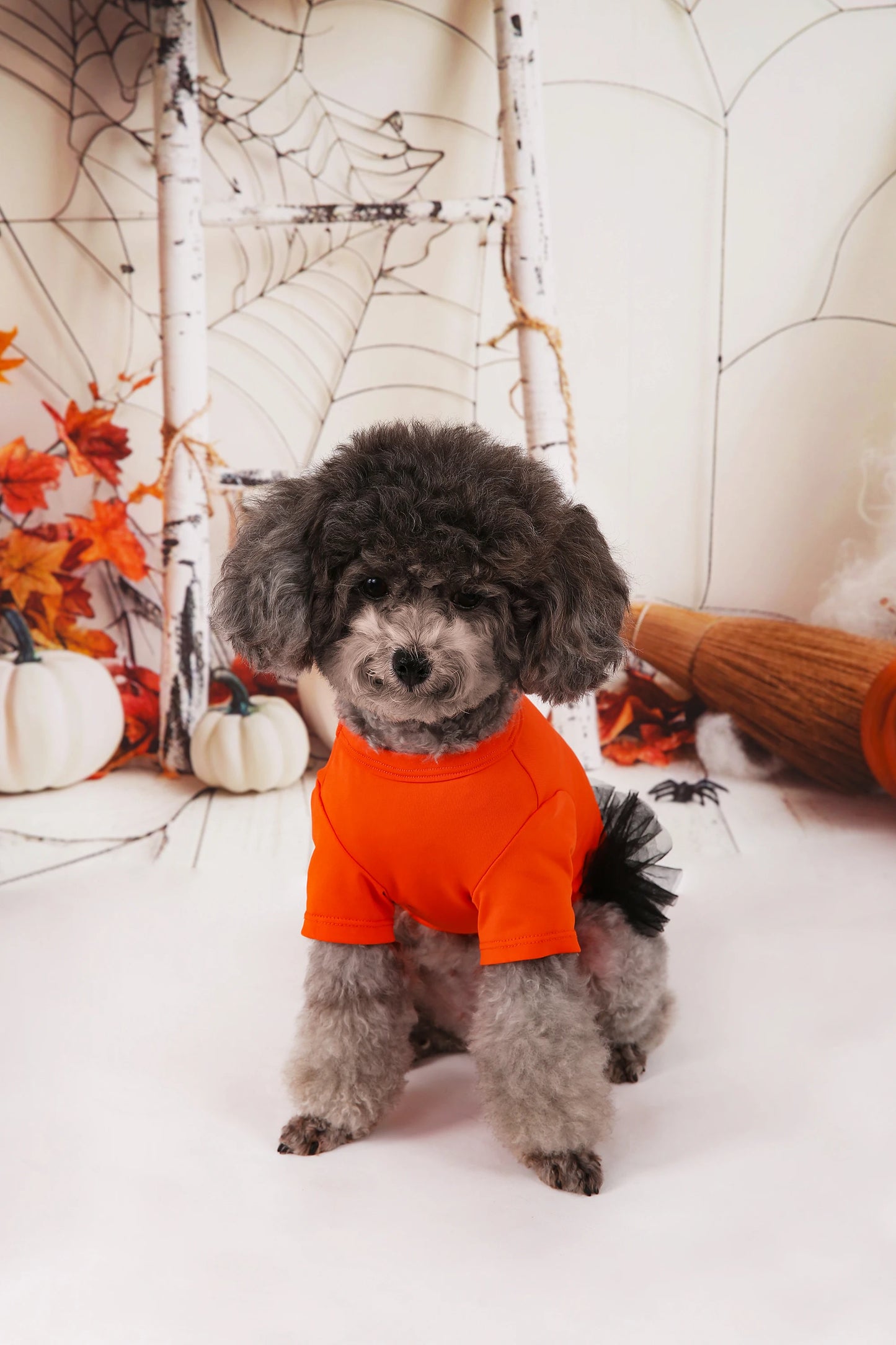 Pumpkin Printed Orange Tutu Dress