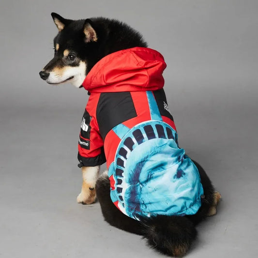 Freedom & Justice  T.D.F x Pupawme Raincoat