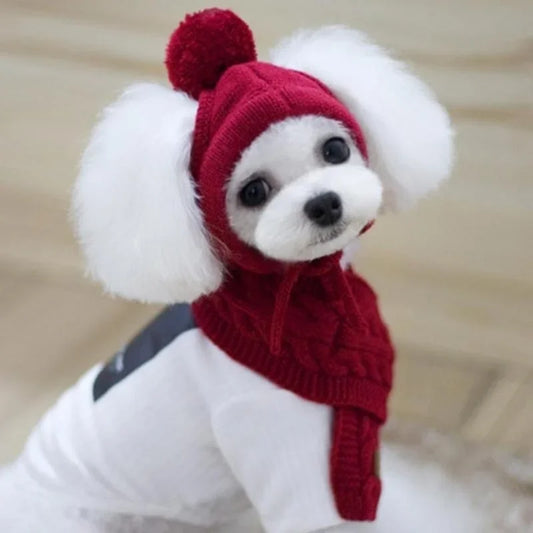 Cozy Pom Hat & Scarf Knit Set