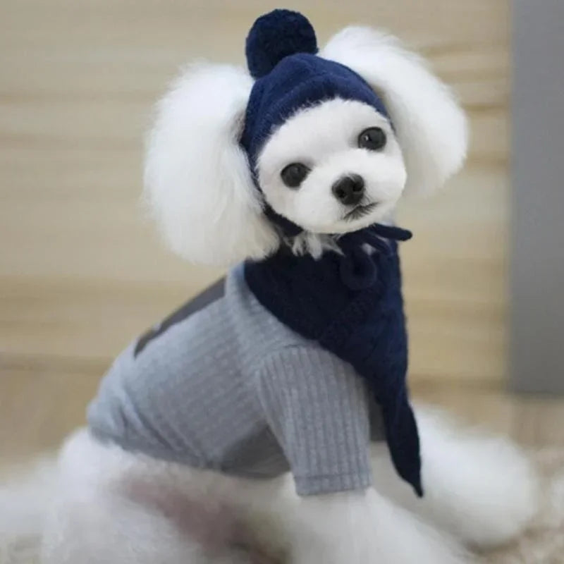 Cozy Pom Hat & Scarf Knit Set