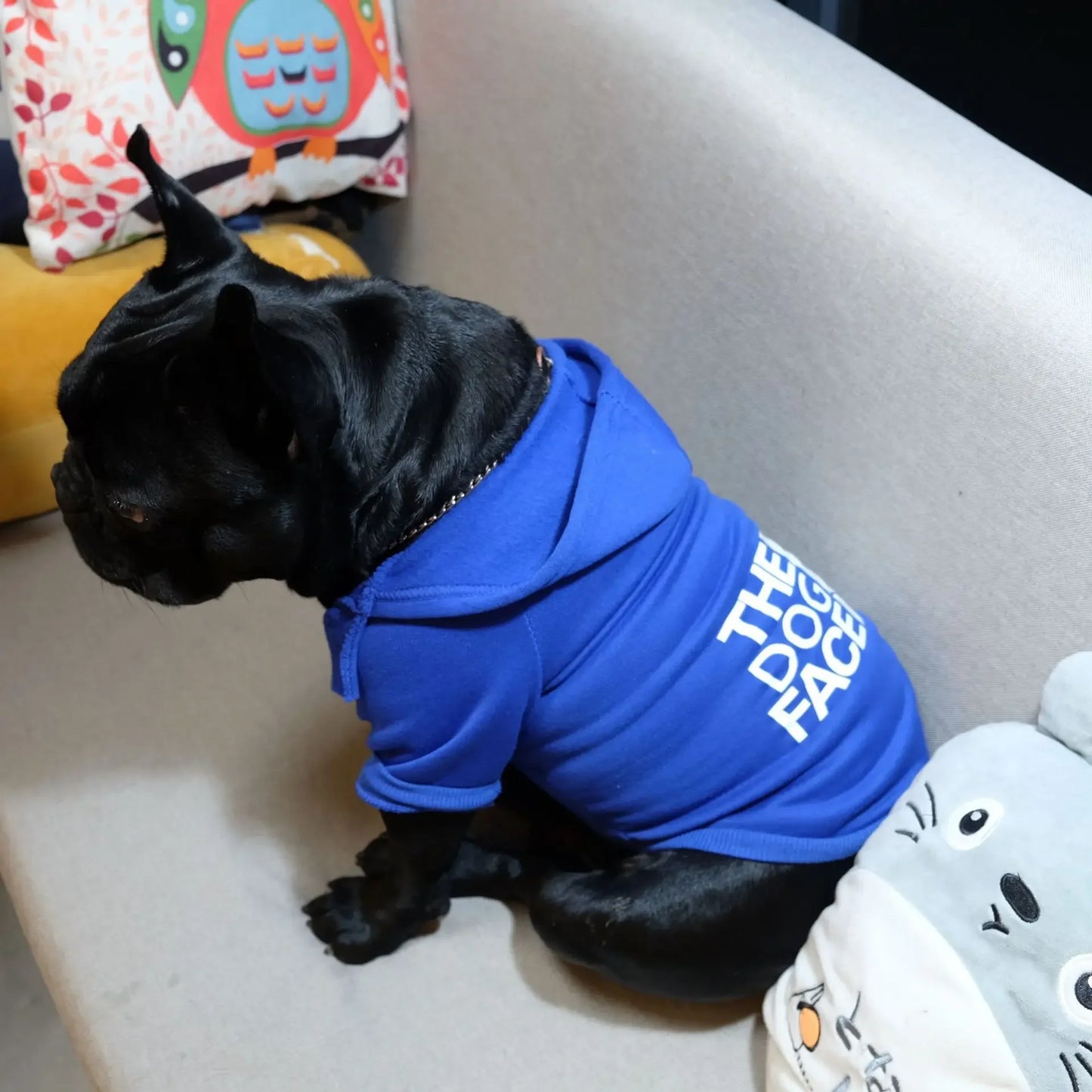 T.D.F Classic Pullover Cozy & Stylish Dog Hoodie
