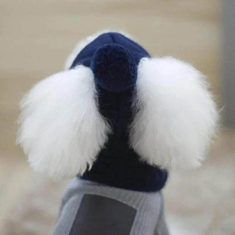Cozy Pom Hat & Scarf Knit Set