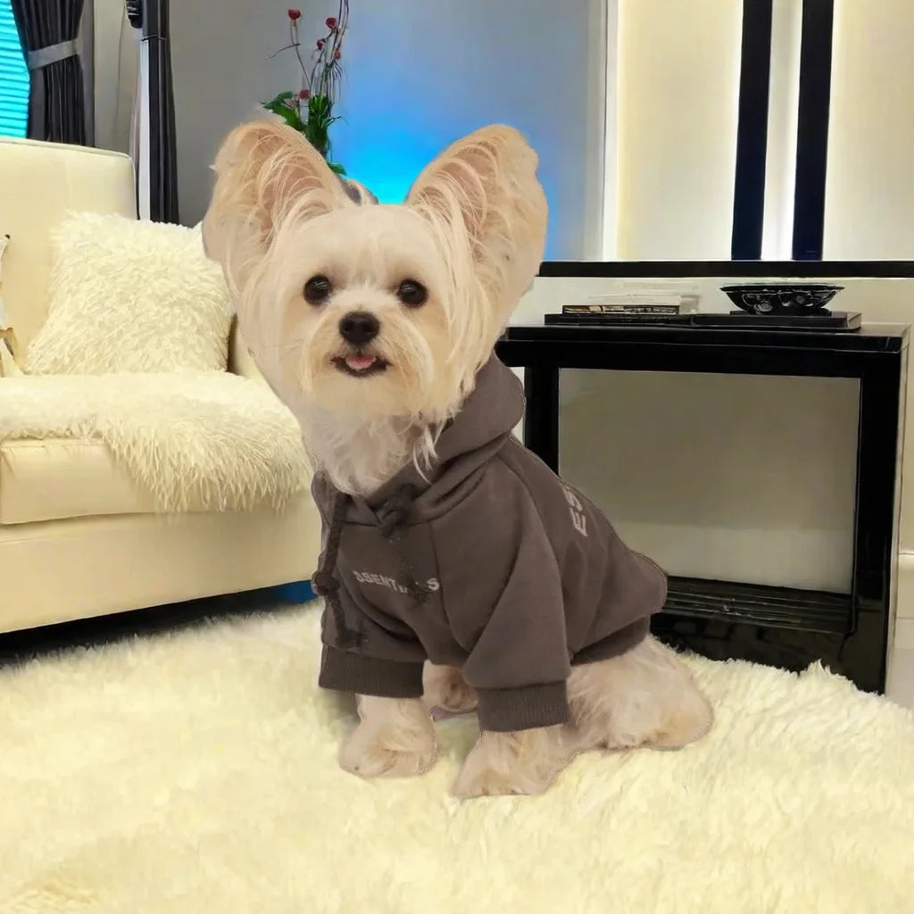 The Ultimate Cozy Hoodie ''Fearless of Dog"