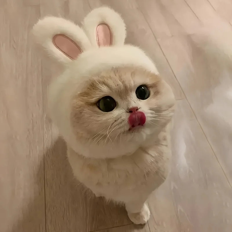 Soft Plush Rabbit Ear Pet Hat 🐇