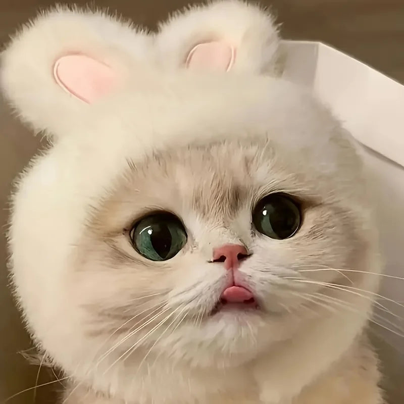 Soft Plush Rabbit Ear Pet Hat 🐇