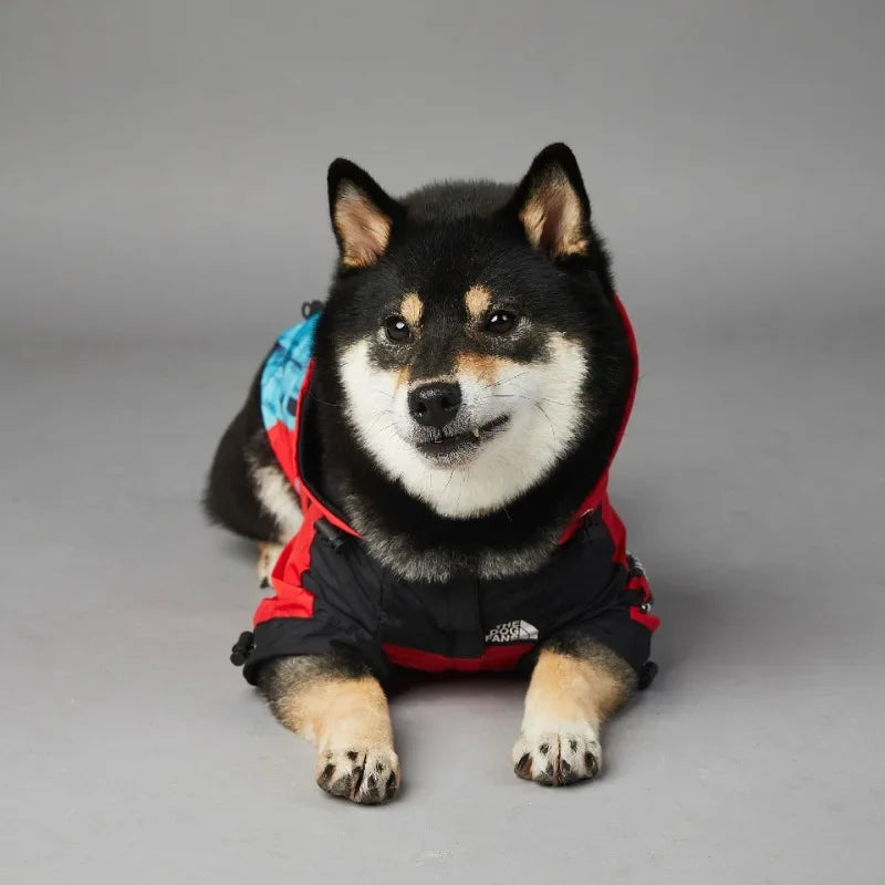 Freedom & Justice  T.D.F x Pupawme Raincoat
