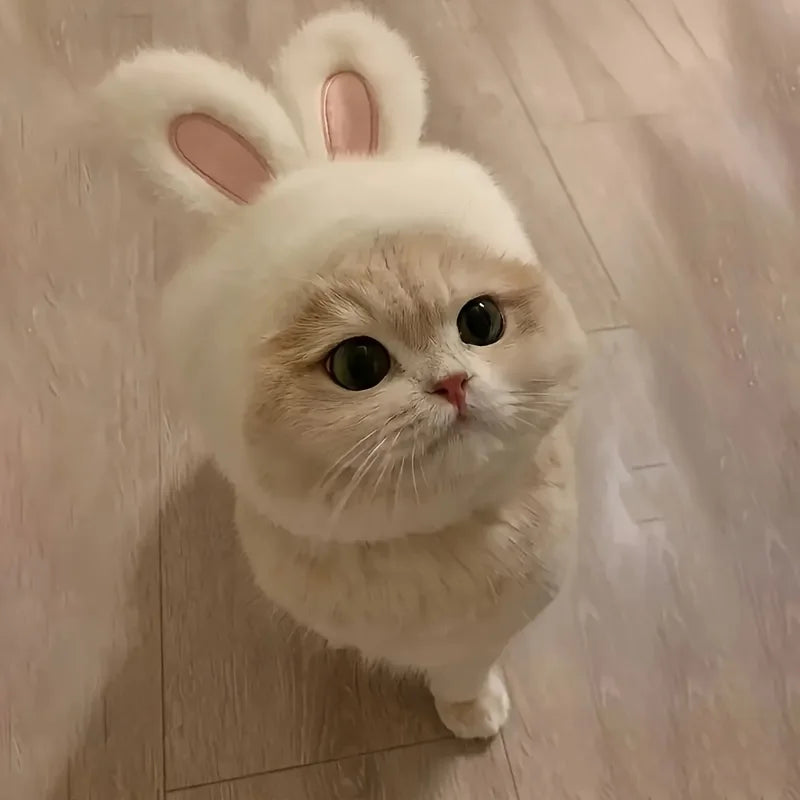 Soft Plush Rabbit Ear Pet Hat 🐇