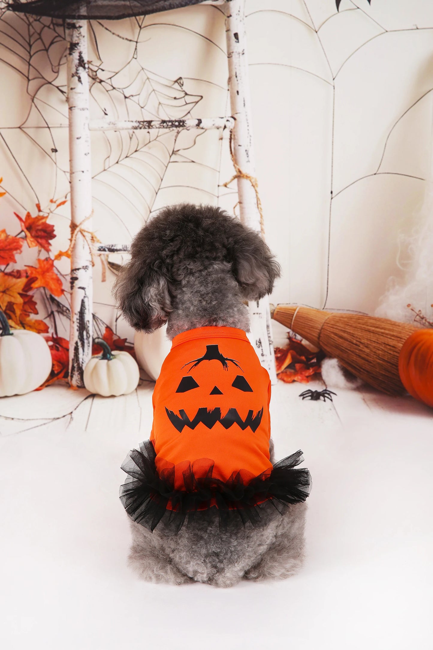 Pumpkin Printed Orange Tutu Dress