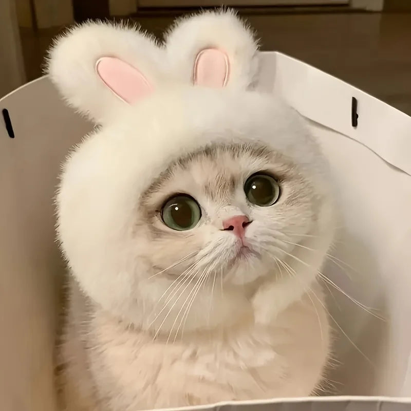 Soft Plush Rabbit Ear Pet Hat 🐇