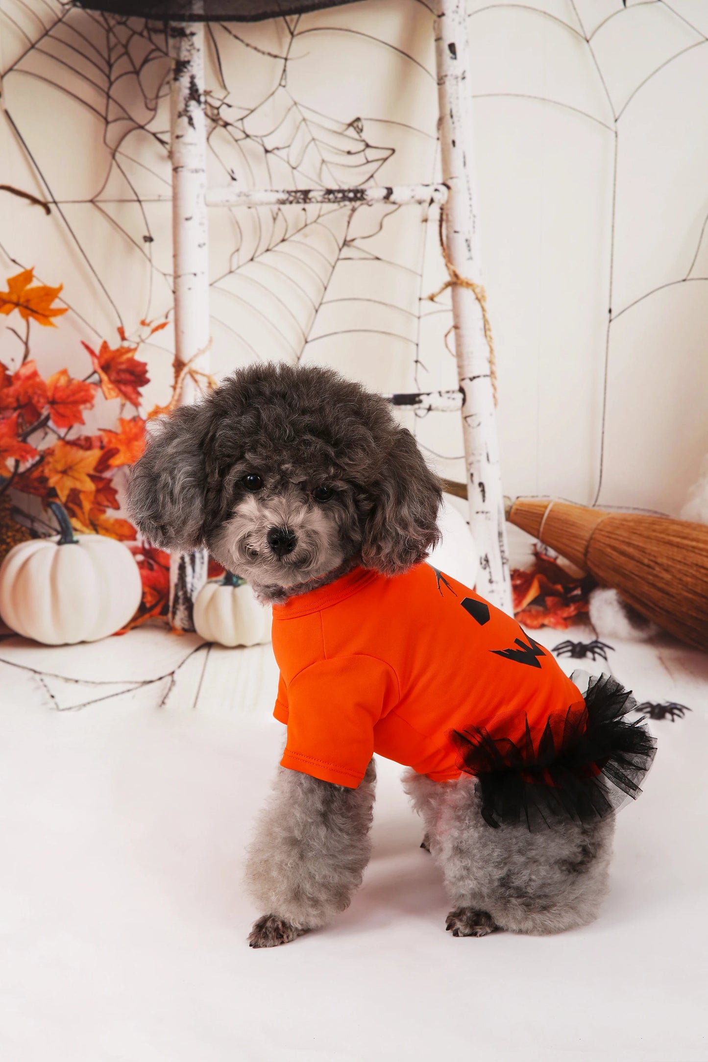 Pumpkin Printed Orange Tutu Dress