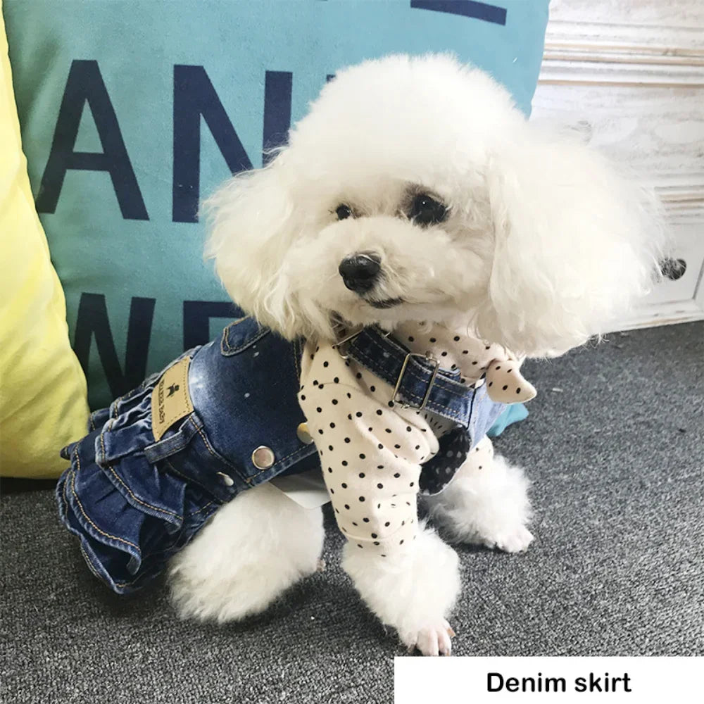 Adorable Ruffled Denim Overall Dress
