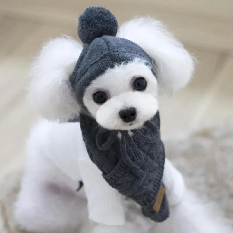 Cozy Pom Hat & Scarf Knit Set