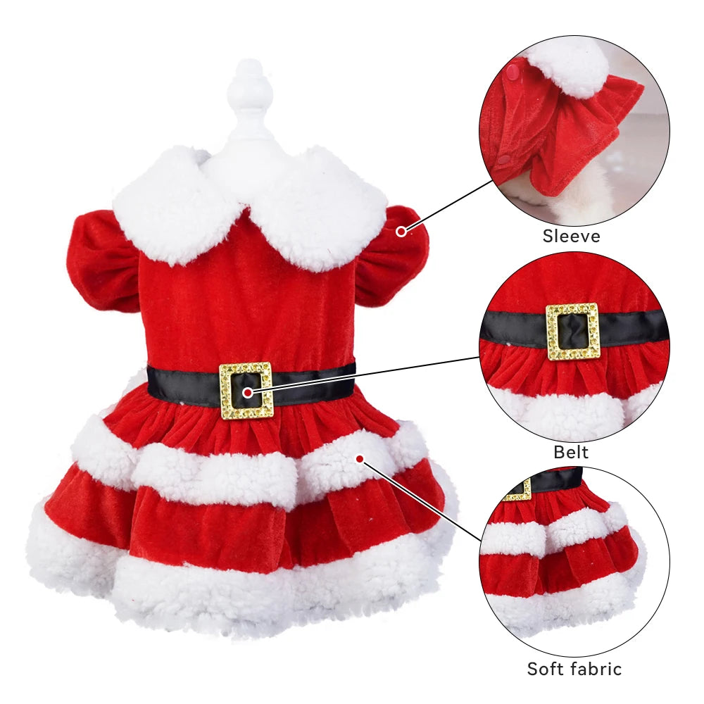 Christmas Holiday Dresses